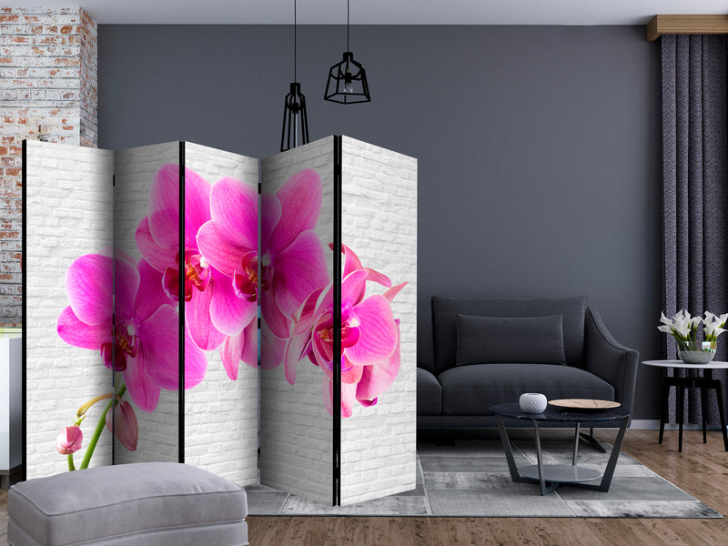 https://www.fotoartgeist.pl/ebaytemp/parawan/b-C-0511-z-c/b-C-0511-z-c-ebVis2.jpg