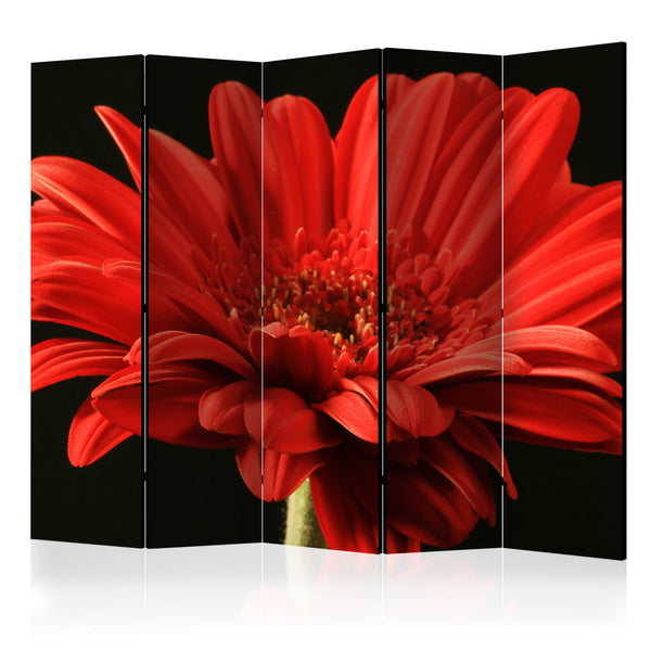 https://www.fotoartgeist.pl/ebaytemp/parawan/b-C-0531-z-c/b-C-0531-z-c-eb1.jpg