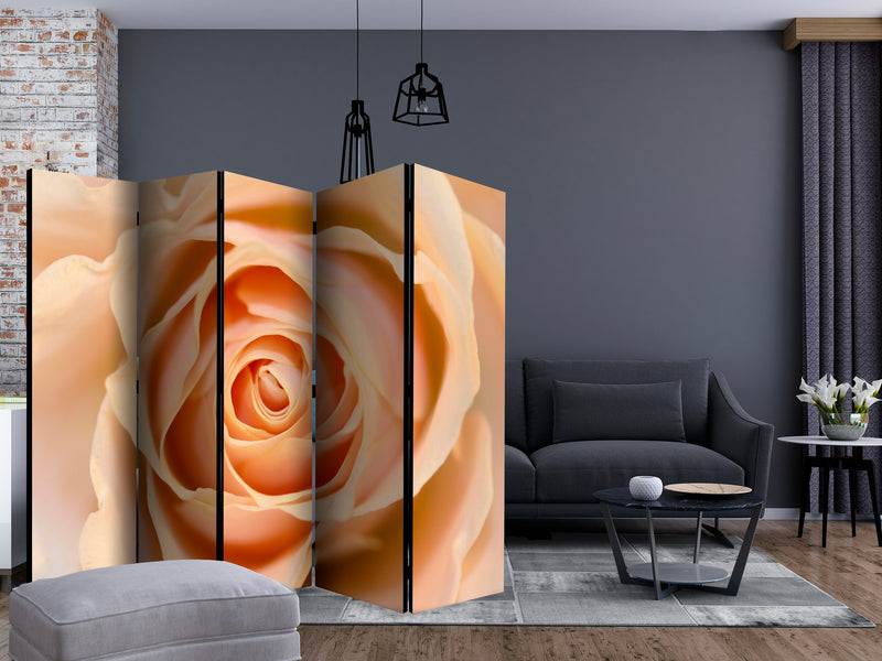 https://www.fotoartgeist.pl/ebaytemp/parawan/b-C-0535-z-c/b-C-0535-z-c-ebVis2.jpg