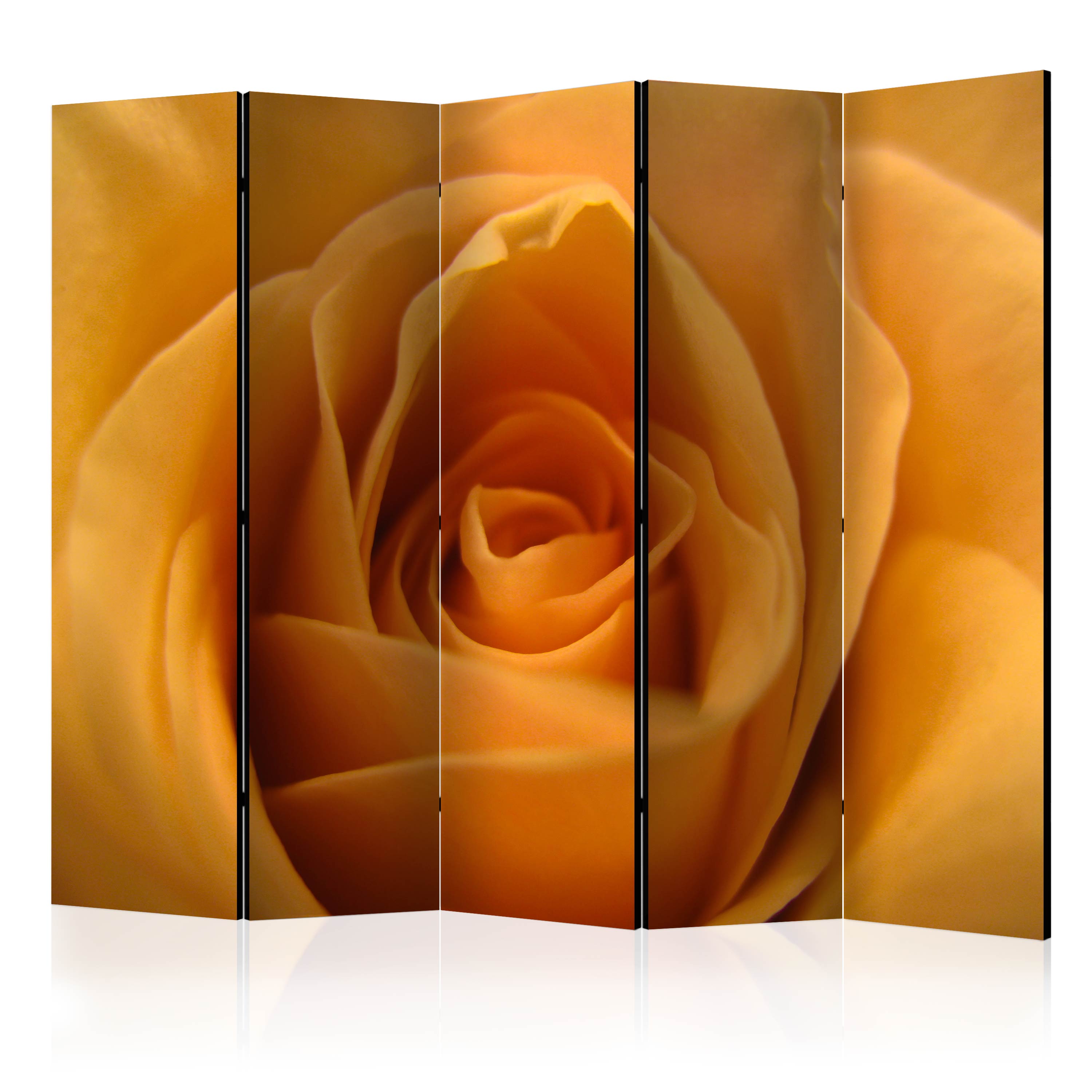 Kamerscherm - Yellow rose a symbol of friendship II [Room Dividers]