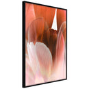 Poster - Tulip Petals  - zwart