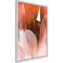 Poster - Tulip Petals  - wit