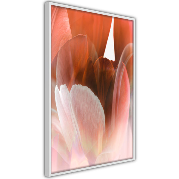 Poster - Tulip Petals  - wit