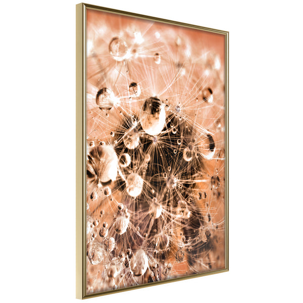 Poster - Drops on Dandelion  - goud