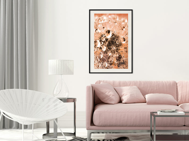 Poster - Drops on Dandelion  - zwart passepartout