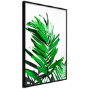 Poster - Emerald Palm  - zwart