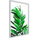 Poster - Emerald Palm  - wit