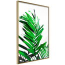 Poster - Emerald Palm  - goud