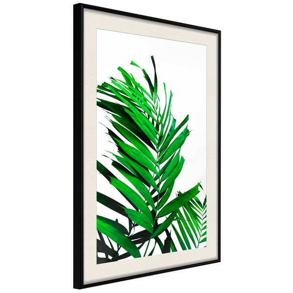 Poster - Emerald Palm  - zwart passepartout