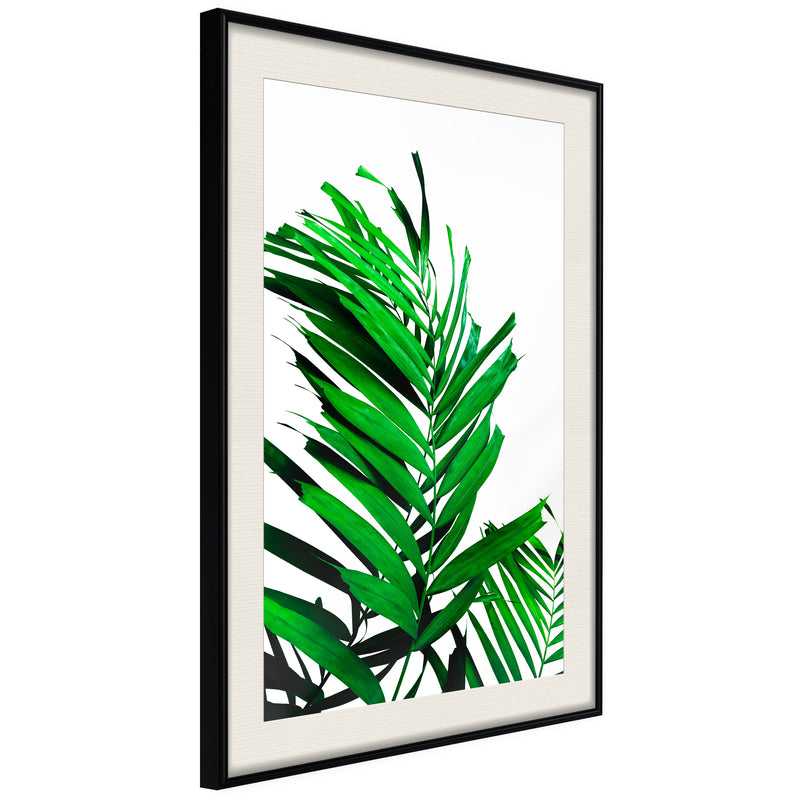 Poster - Emerald Palm  - zwart passepartout