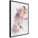 Poster - Scent of Spring  - zwart