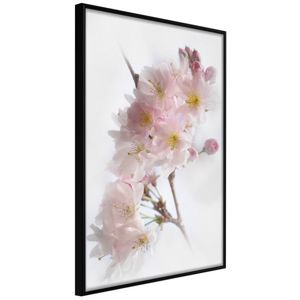 Poster - Scent of Spring  - zwart