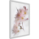Poster - Scent of Spring  - wit