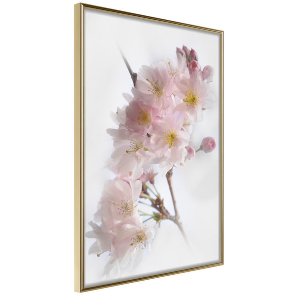 Poster - Scent of Spring  - goud