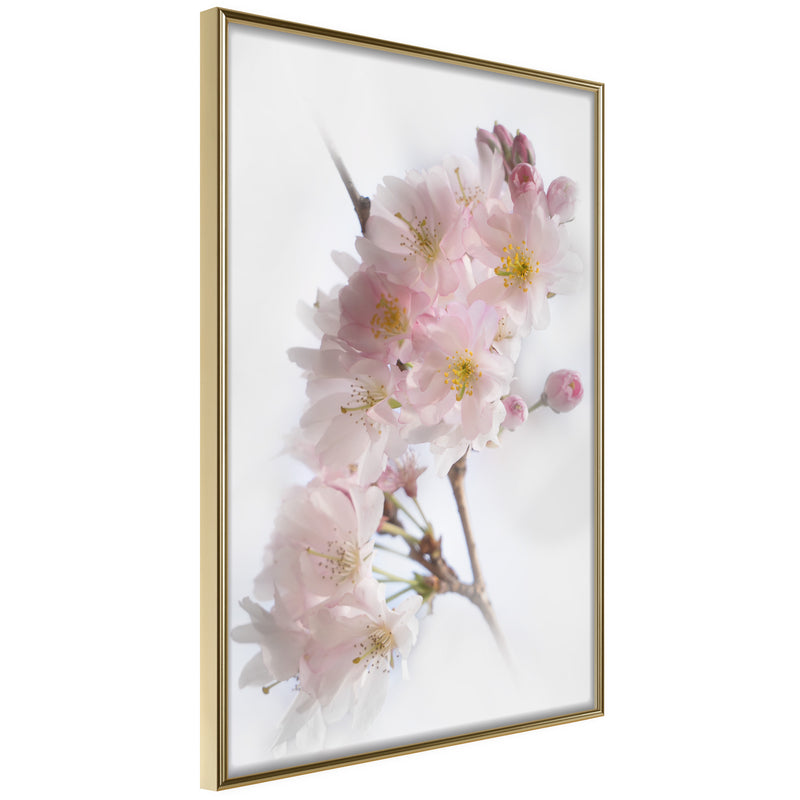 Poster - Scent of Spring  - goud