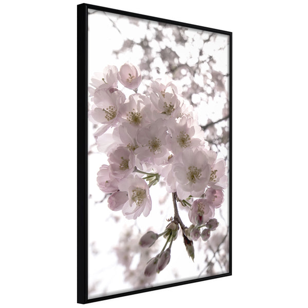 Poster - Spring Visit  - zwart