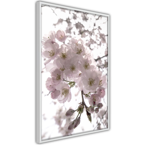 Poster - Spring Visit  - wit