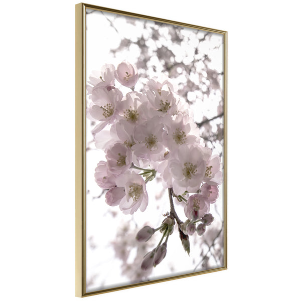 Poster - Spring Visit  - goud