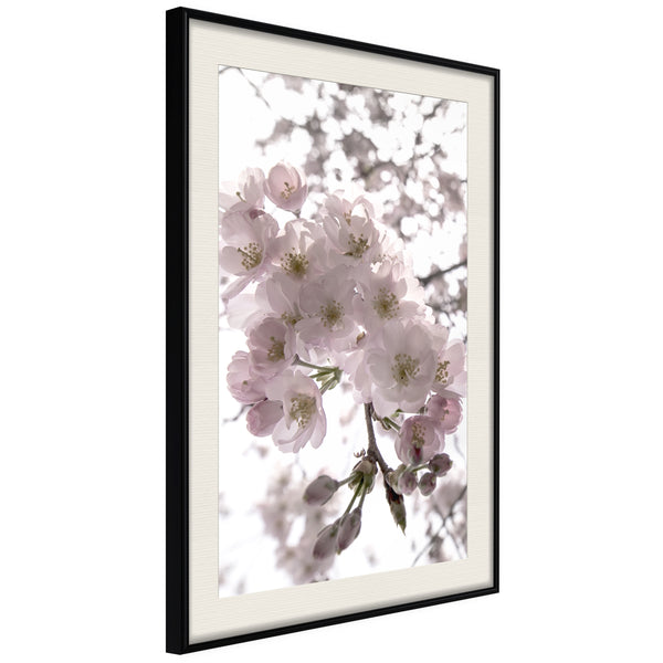 Poster - Spring Visit  - zwart passepartout