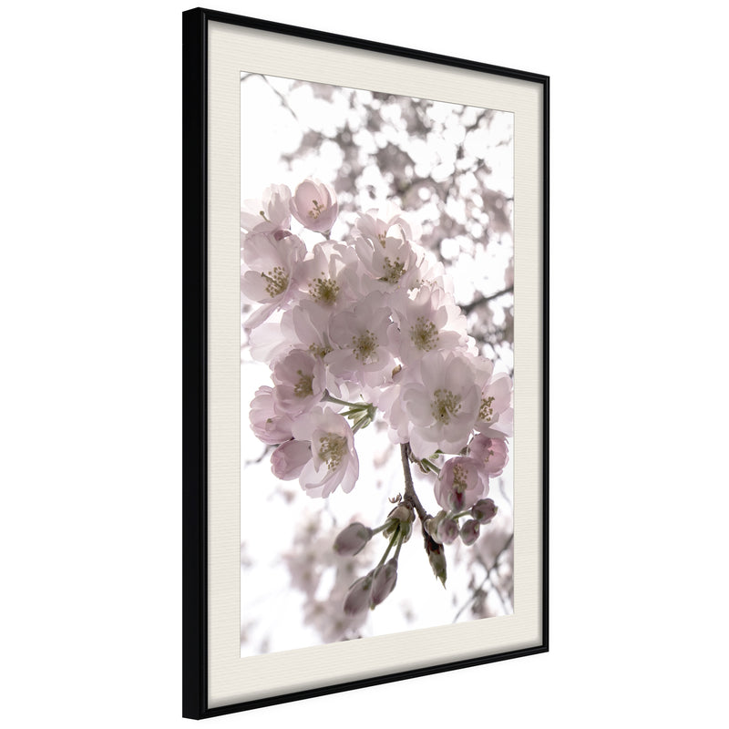 Poster - Spring Visit  - zwart passepartout