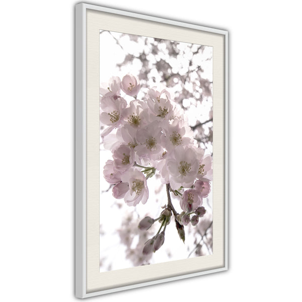 Poster - Spring Visit  - wit passepartout
