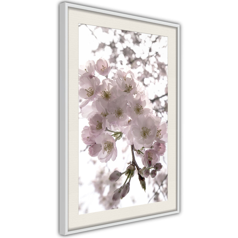 Poster - Spring Visit  - wit passepartout