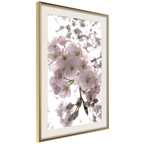 Poster - Spring Visit  - goud passepartout