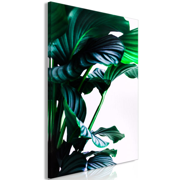 https://www.amazon.murando.com/obrazy/b-C-0688-b-a/b-C-0688-b-a-eb10.jpg