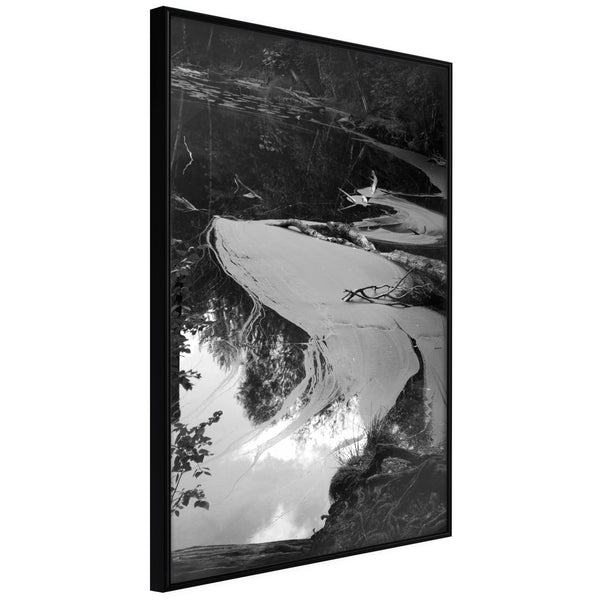 Poster - Duckweed  - zwart