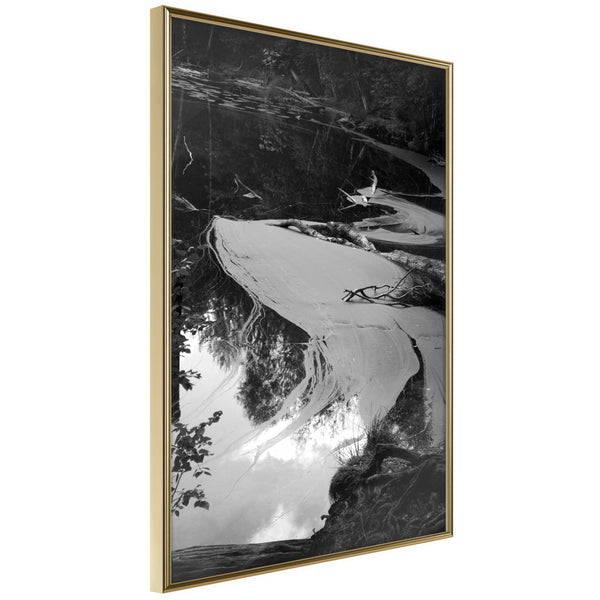 Poster - Duckweed  - goud