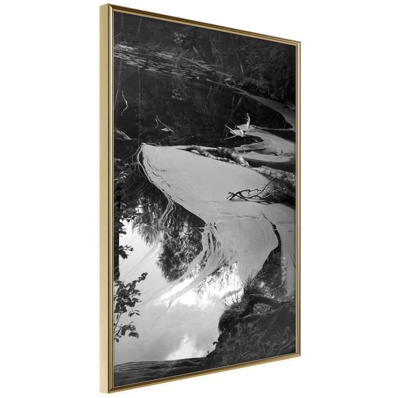 Poster - Duckweed  - goud