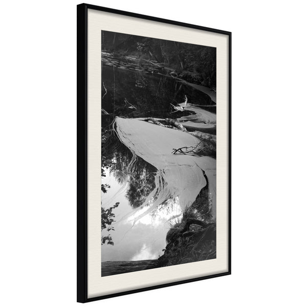 Poster - Duckweed  - zwart passepartout