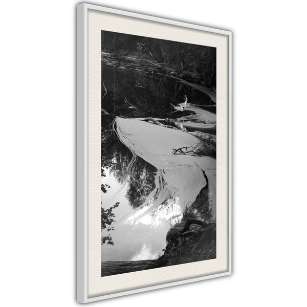 Poster - Duckweed  - wit passepartout