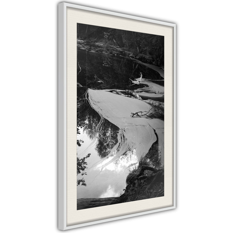 Poster - Duckweed  - wit passepartout