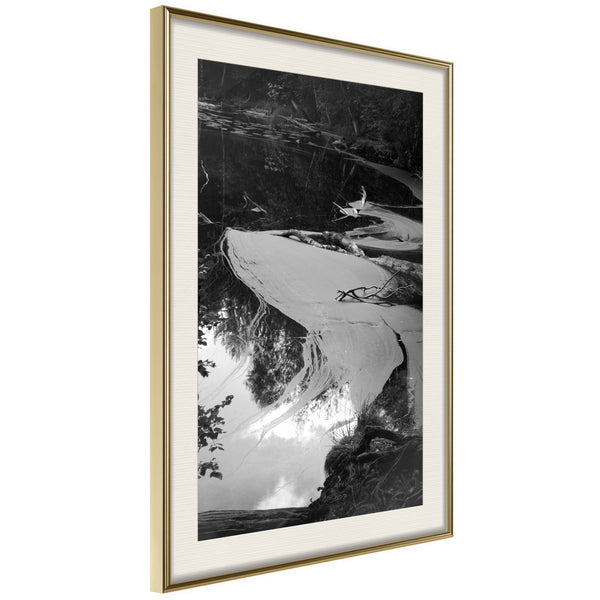Poster - Duckweed  - goud passepartout