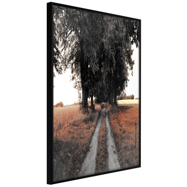Poster - Field Path  - zwart