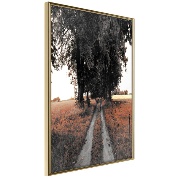 Poster - Field Path  - goud