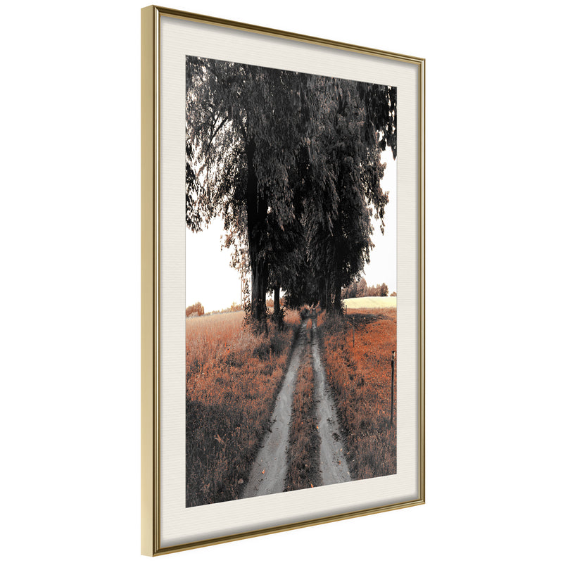 Poster - Field Path  - goud passepartout