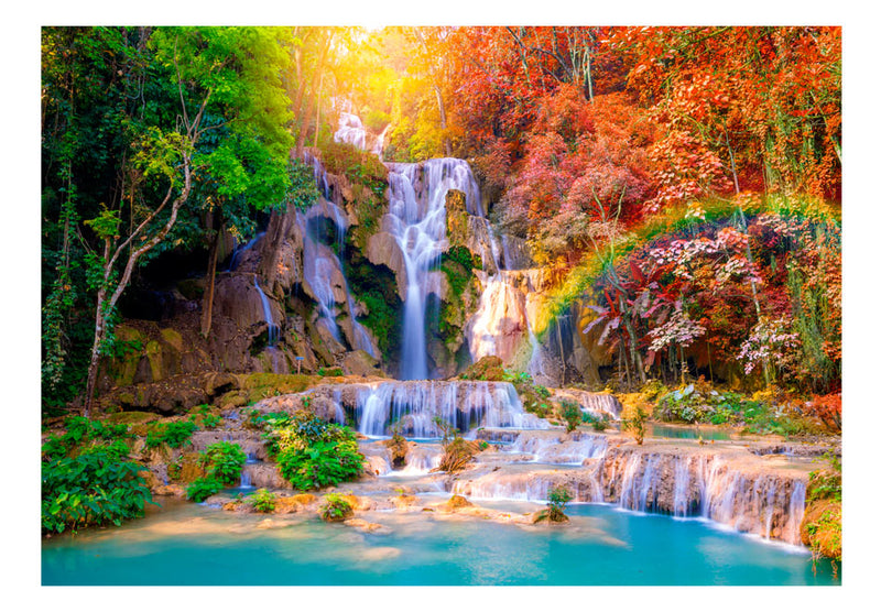 https://www.fotoartgeist.pl//ebaytemp/fototapety1/c-B-0126-a-a/c-B-0126-a-a.jpg