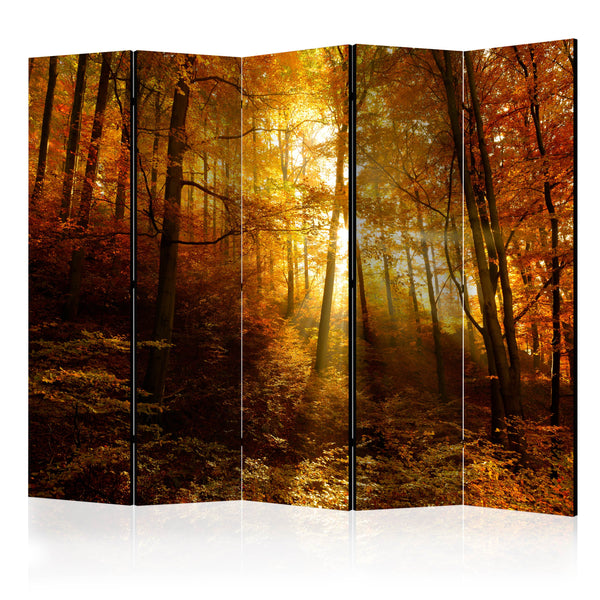 https://www.fotoartgeist.pl/ebaytemp/parawan/c-B-0139-z-c/c-B-0139-z-c-eb1.jpg