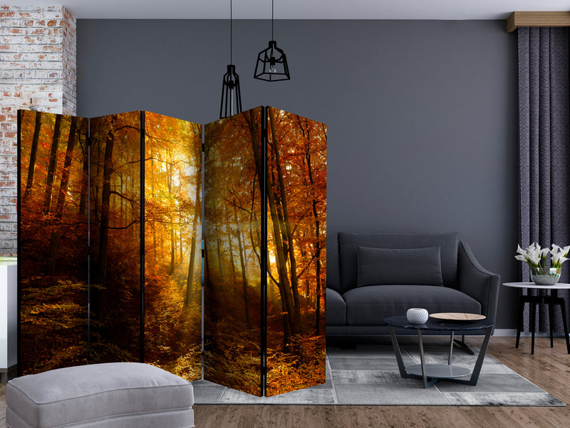 https://www.fotoartgeist.pl/ebaytemp/parawan/c-B-0139-z-c/c-B-0139-z-c-ebVis2.jpg