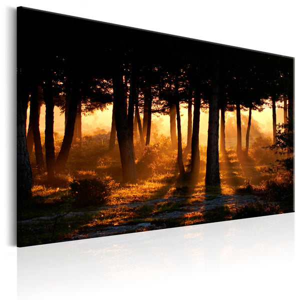 https://www.fotoartgeist.pl/ebaytemp/obrazy1/c-B-0170-b-a/c-B-0170-b-a-eb1.jpg