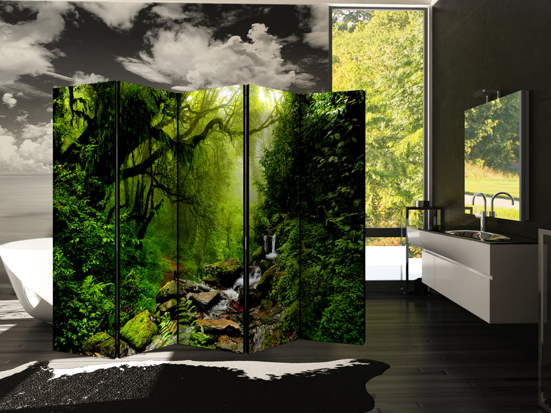 https://www.fotoartgeist.pl/ebaytemp/parawan/c-B-0193-z-c/c-B-0193-z-c-ebVis2.jpg