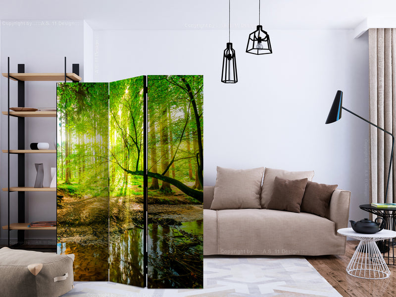 https://www.fotoartgeist.pl/ebaytemp/parawan/c-B-0241-z-b/c-B-0241-z-b-ebVis2.jpg