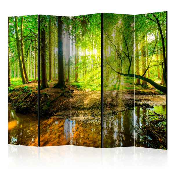 https://www.fotoartgeist.pl/ebaytemp/parawan/c-B-0241-z-c/c-B-0241-z-c-eb1.jpg