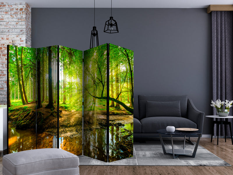 https://www.fotoartgeist.pl/ebaytemp/parawan/c-B-0241-z-c/c-B-0241-z-c-ebVis2.jpg