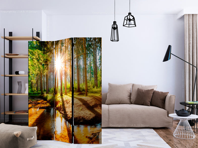 https://www.fotoartgeist.pl/ebaytemp/parawan/c-B-0267-z-b/c-B-0267-z-b-ebVis2.jpg