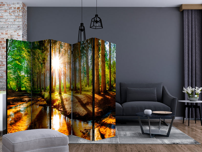 https://www.fotoartgeist.pl/ebaytemp/parawan/c-B-0267-z-c/c-B-0267-z-c-ebVis2.jpg