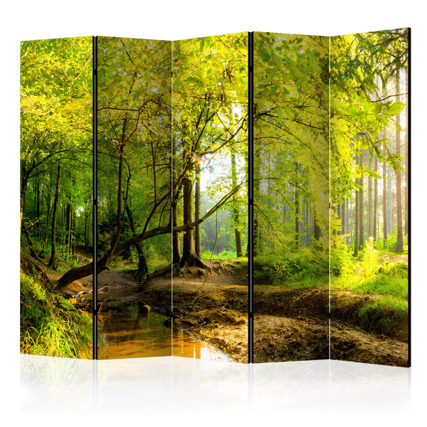 https://www.fotoartgeist.pl/ebaytemp/parawan/c-B-0354-z-c/c-B-0354-z-c-eb1.jpg