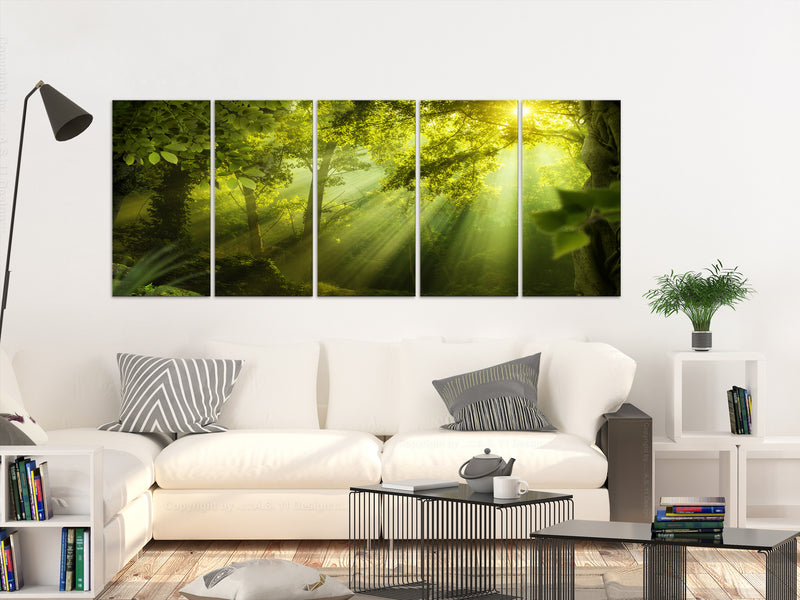 https://www.fotoartgeist.pl/ebaytemp/obrazy1/c-B-0361-b-m/c-B-0361-b-m-w.jpg